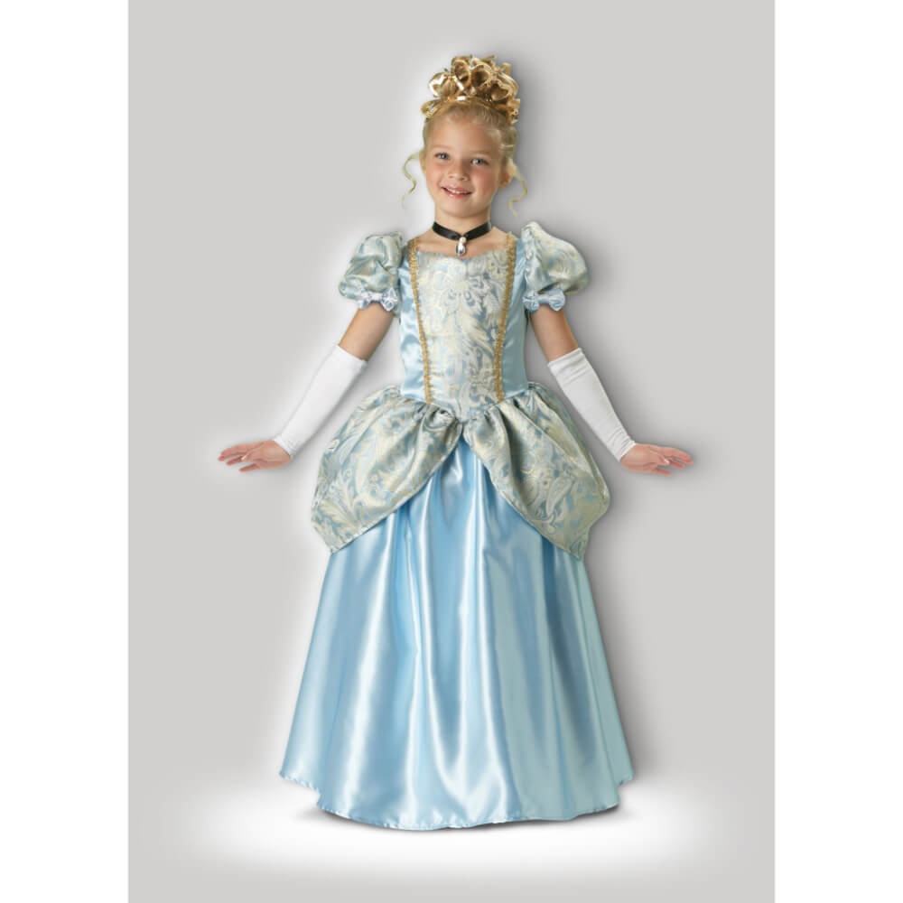 Enchanting Princess Costume