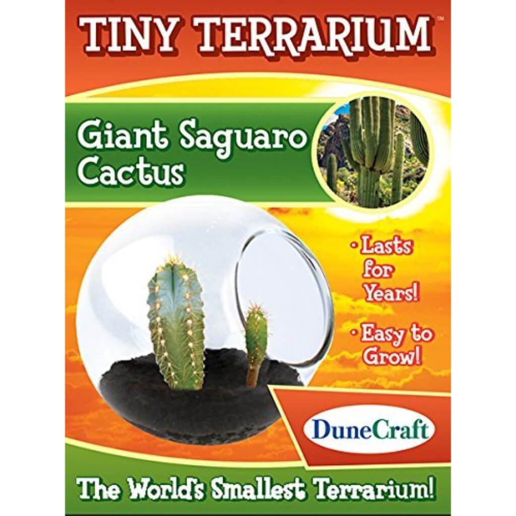 Tiny Terrariums 1 