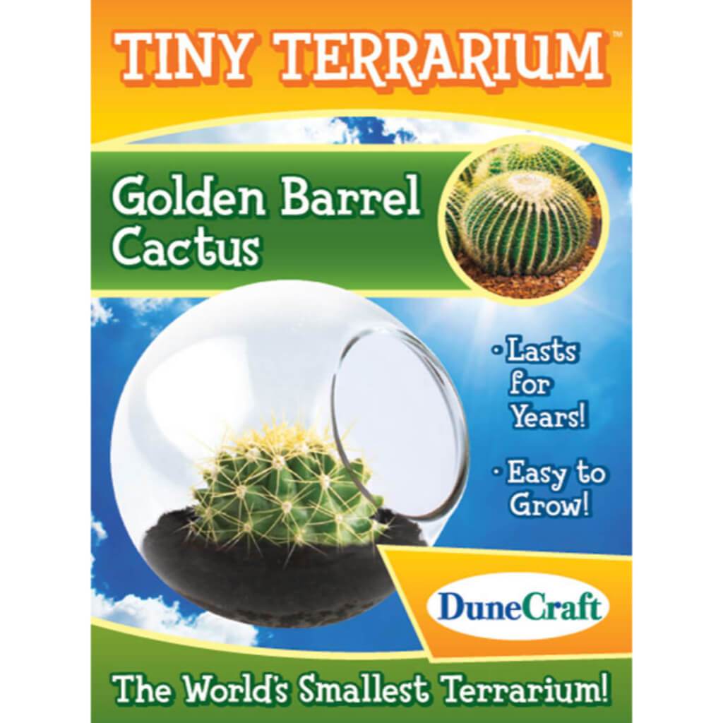 Tiny Terrariums Golden Barrel 2 
