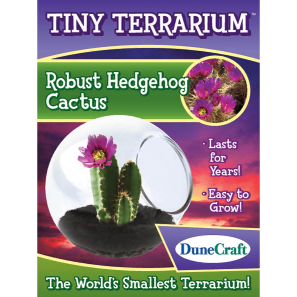 Tiny Terrariums Robust Hedgehog 