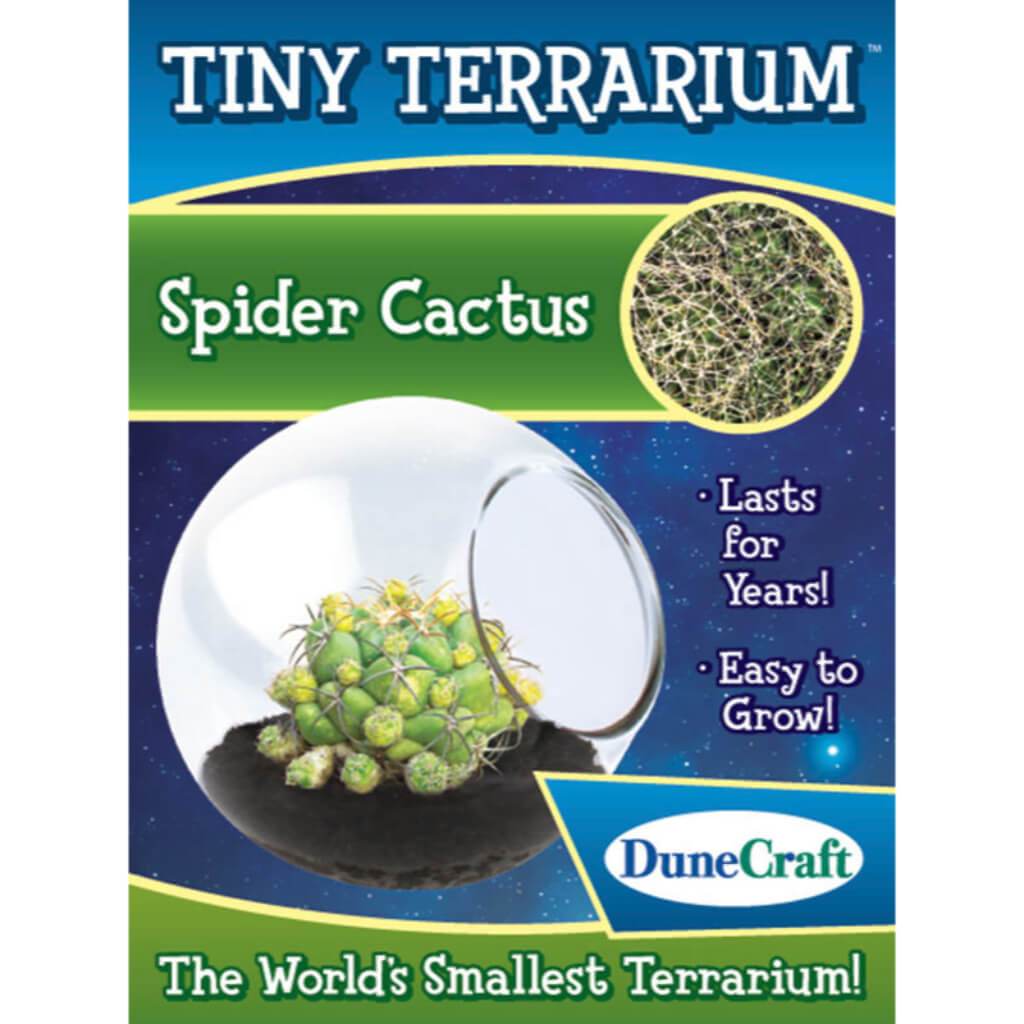 Tiny Terrariums Spider 4 