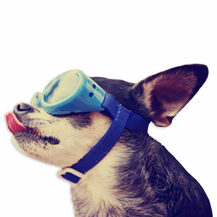 Joy Riders Window Cling, Mutt