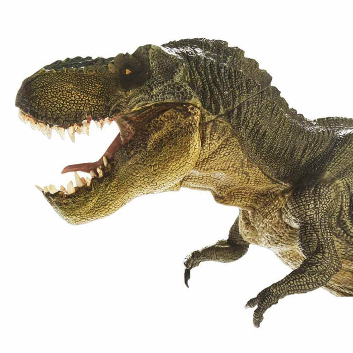Joy Riders Car Window Cling, T Rex