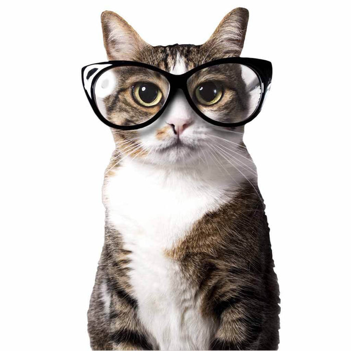 Joy Riders Car Window Cling, Cat Glasses