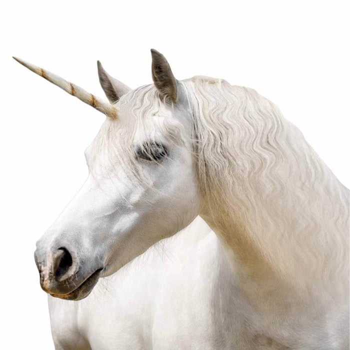 Joy Riders Window Cling , Unicorn