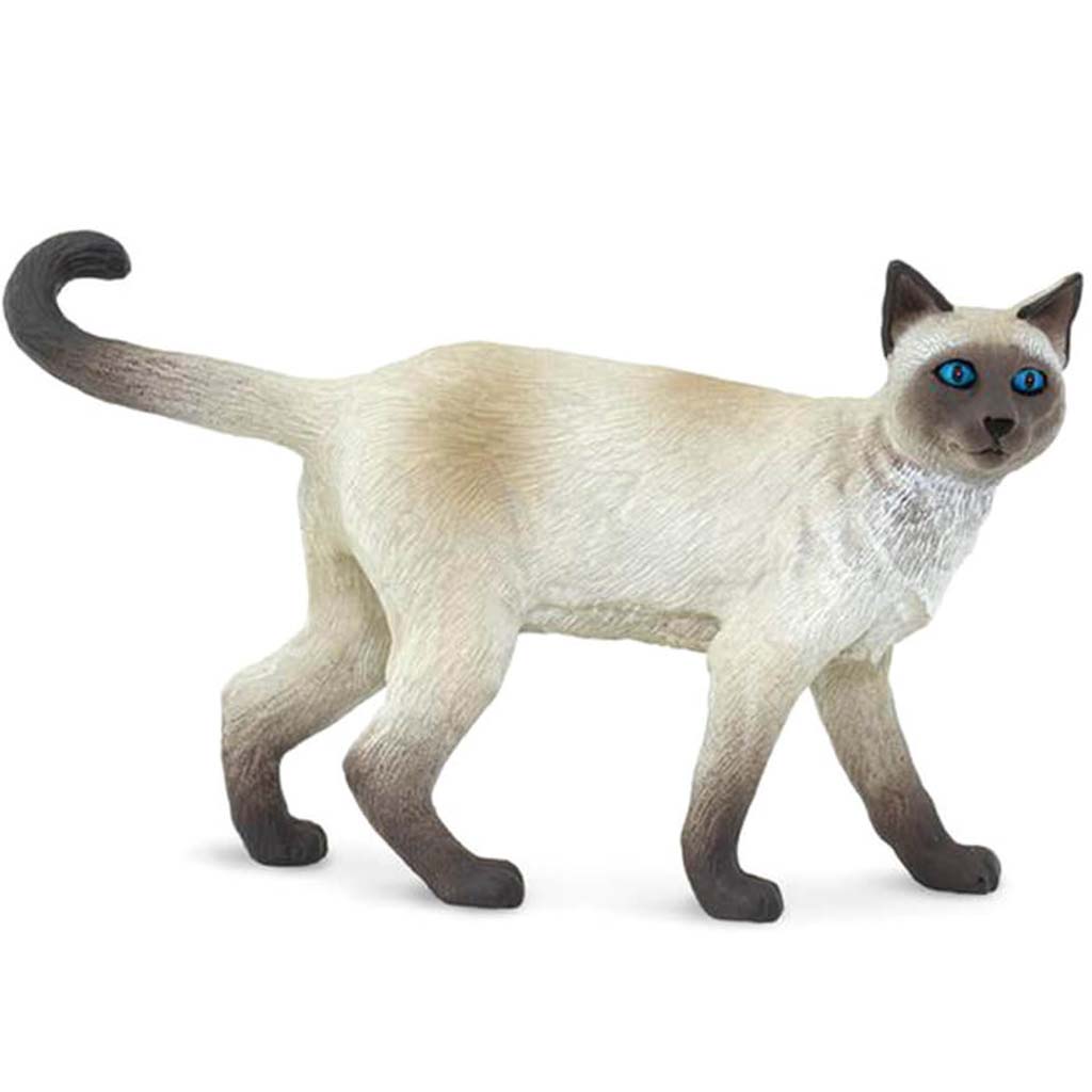 Siamese