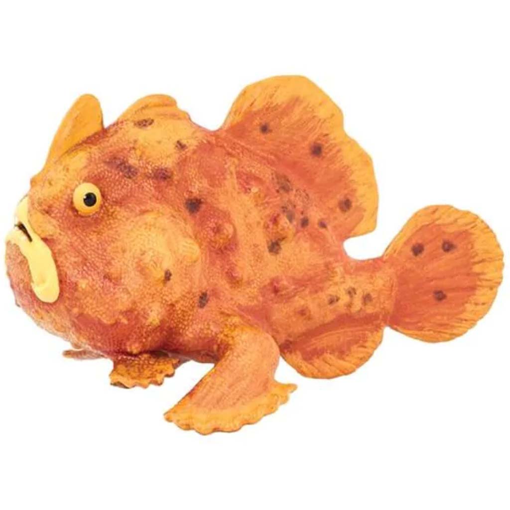 Frogfish 