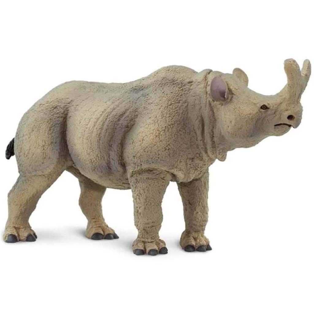 Megacerops 