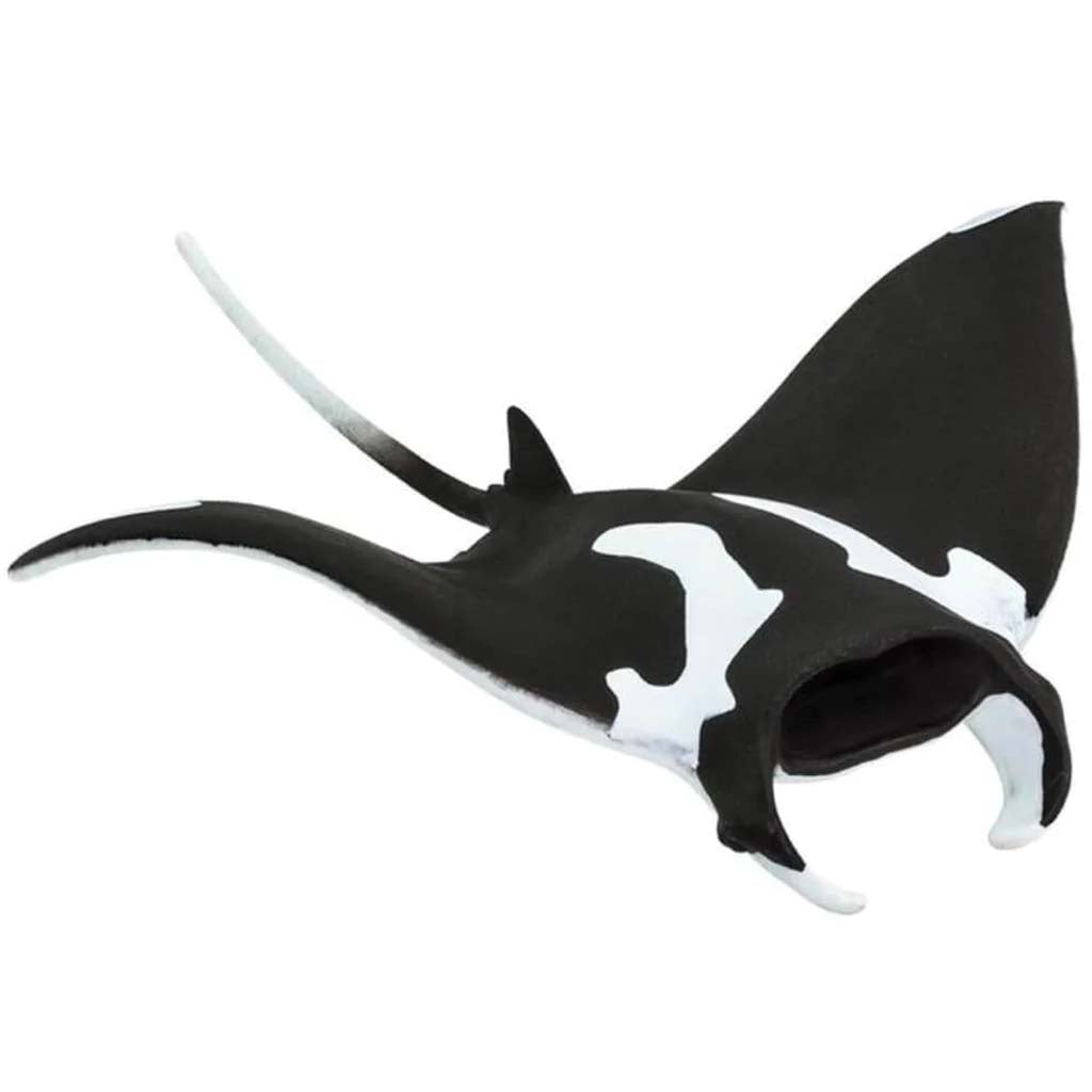 Manta Ray 