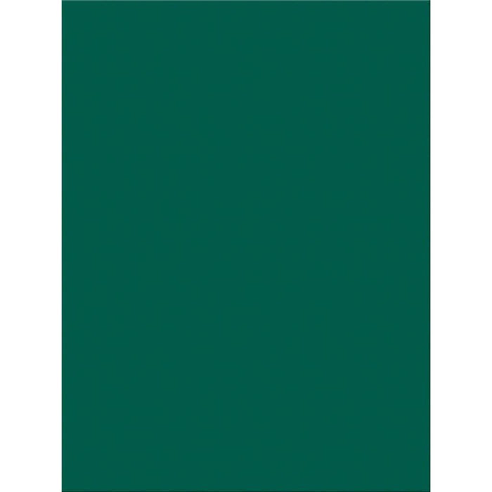 Construction Paper Green 9in x 12in
