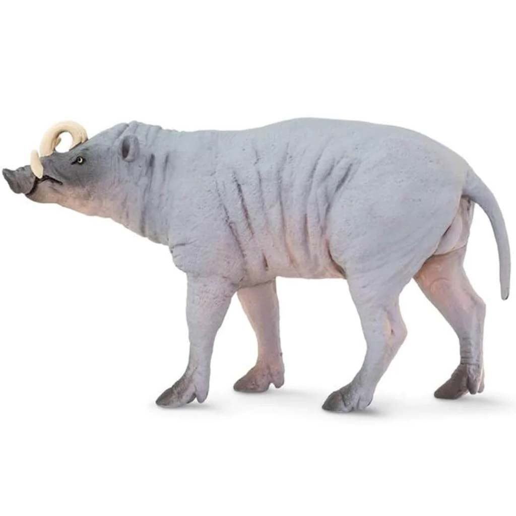 Babirusa 