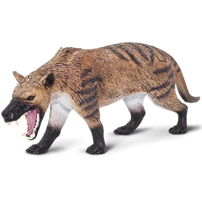 Hyaenodon Gigas 