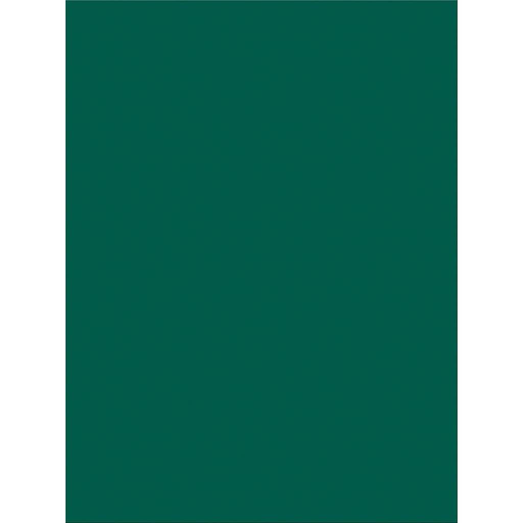 Construction Paper Green 9in x 12in