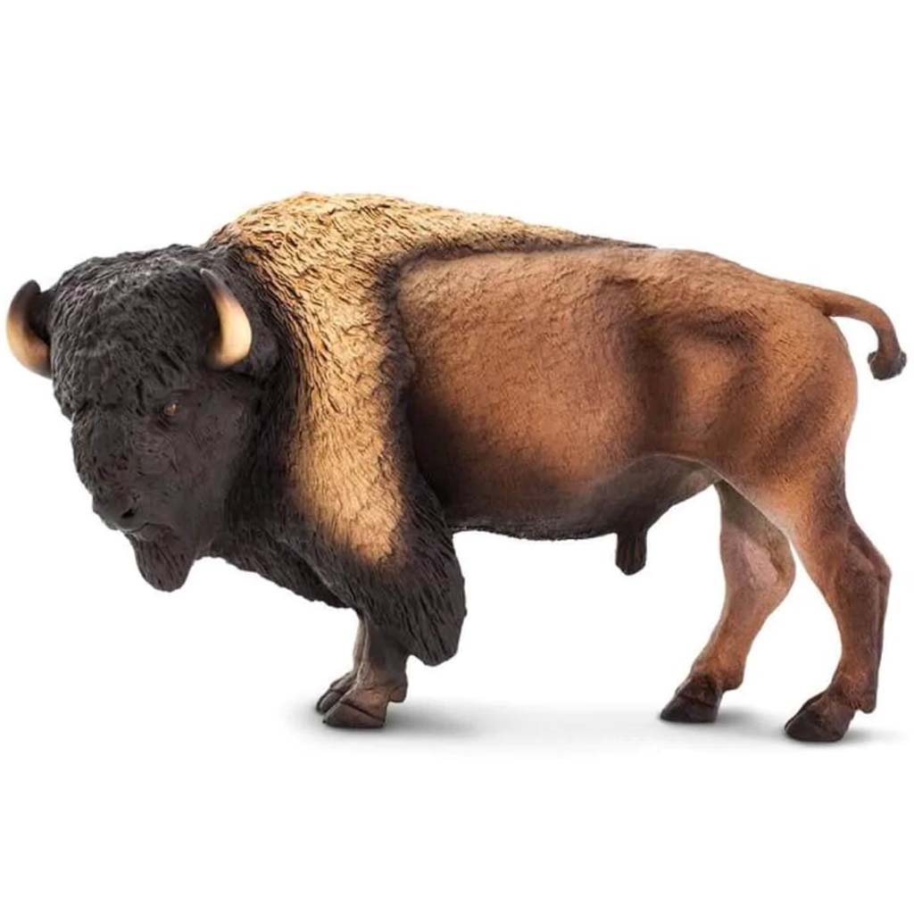 Bison 