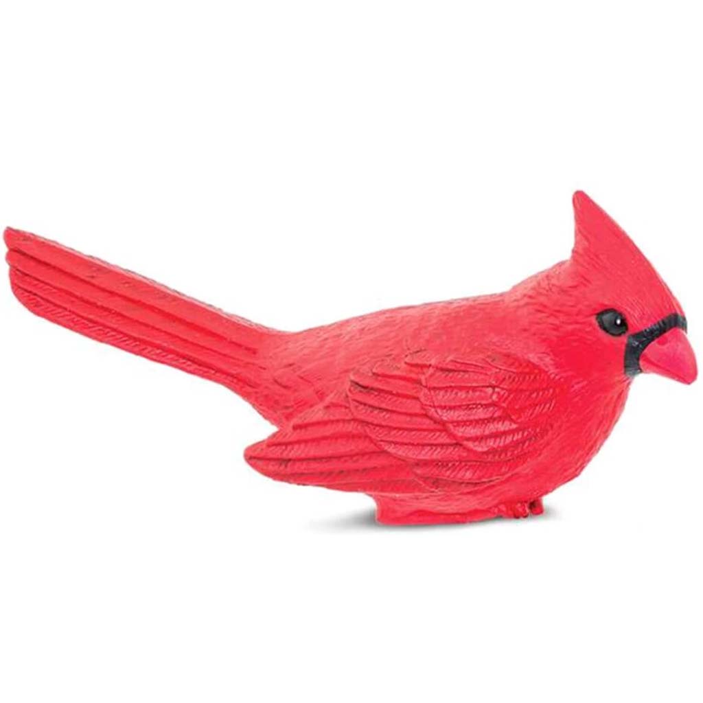 Cardinal