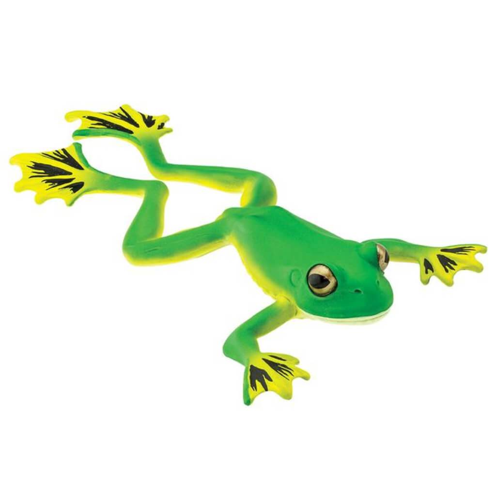 Flying Tree Frog 