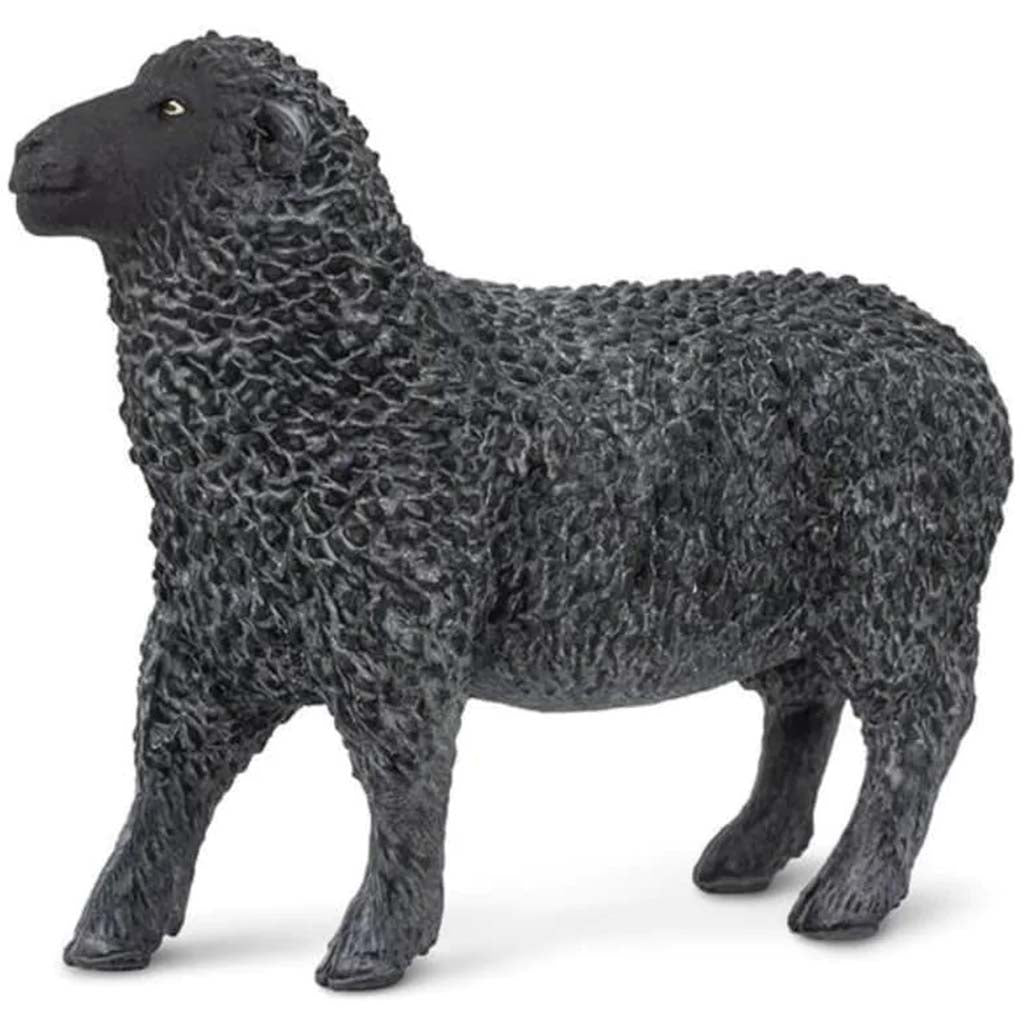 Black Sheep 