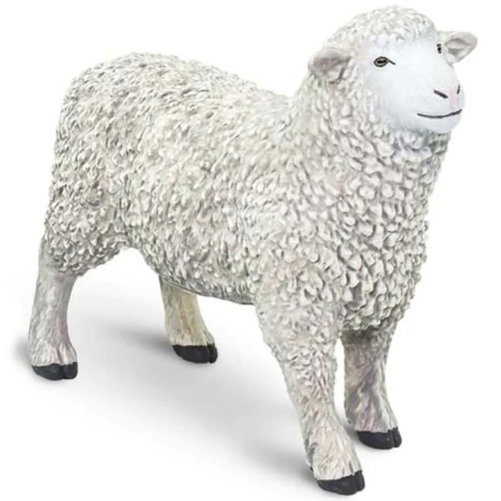 Sheep 