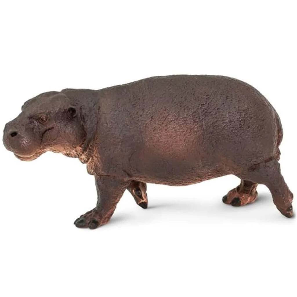 Pygmy Hippo 