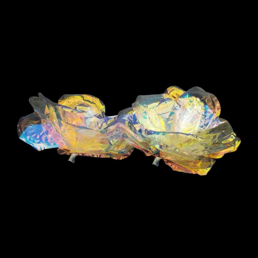 Fantasy Rose 12cm 2ct 