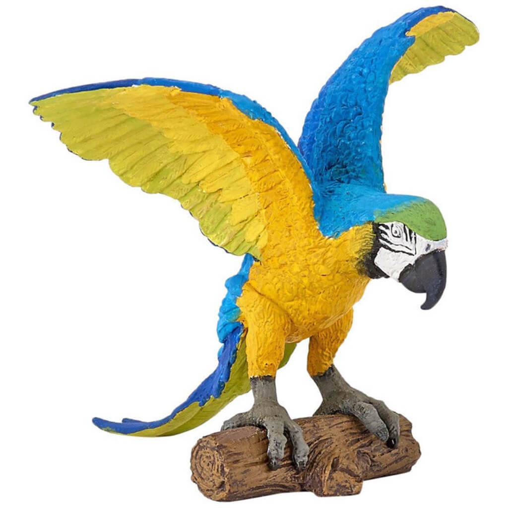 PAPO BLUE ARA PARROT 