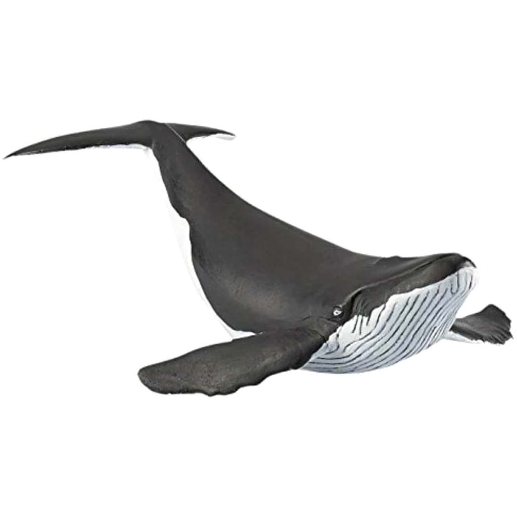 PAPO WHALE CALF 