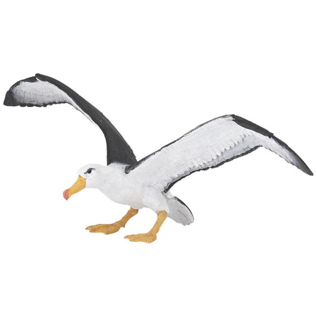 PAPO ALBATROSS 