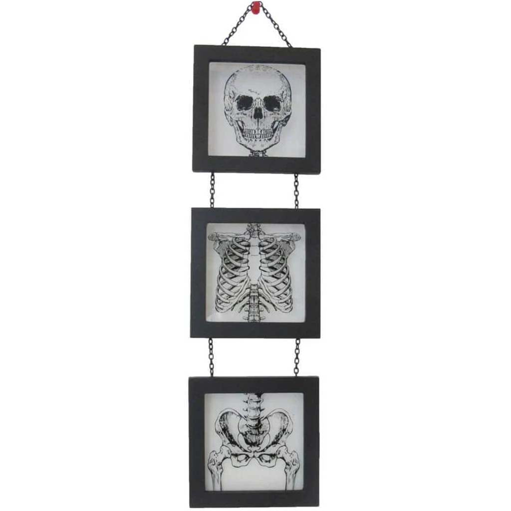 Skeleton Glass Wall Decor, 3pc 