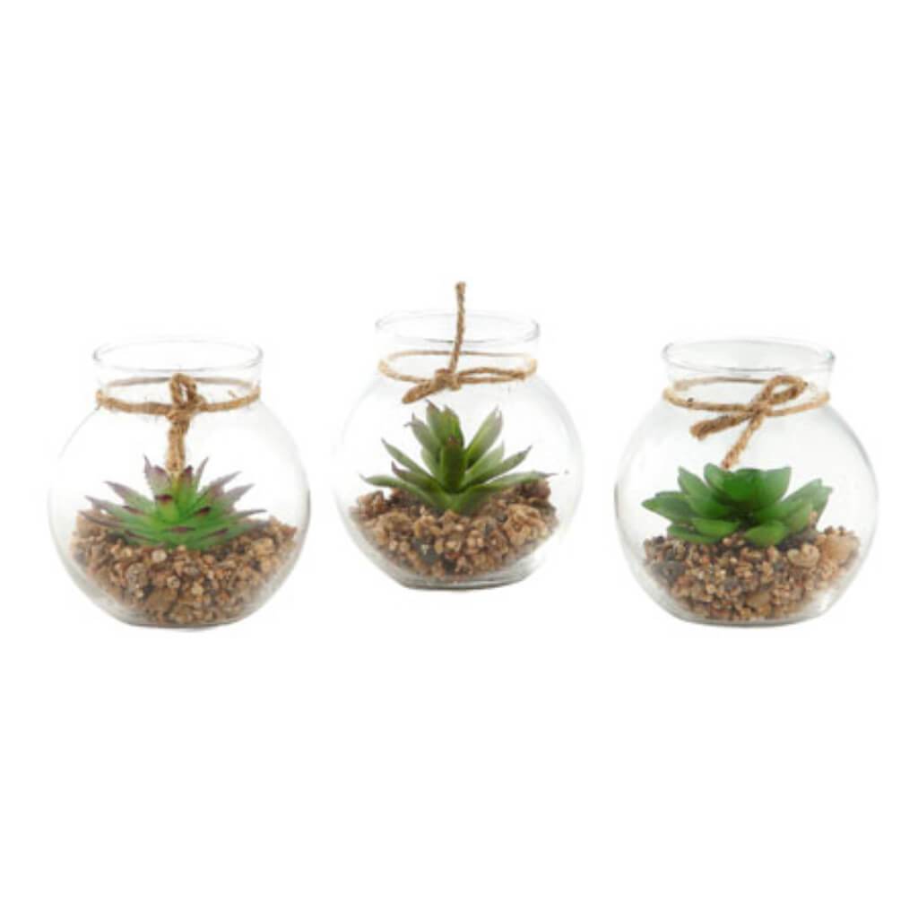 Glass Accessory H:4" D:4" 