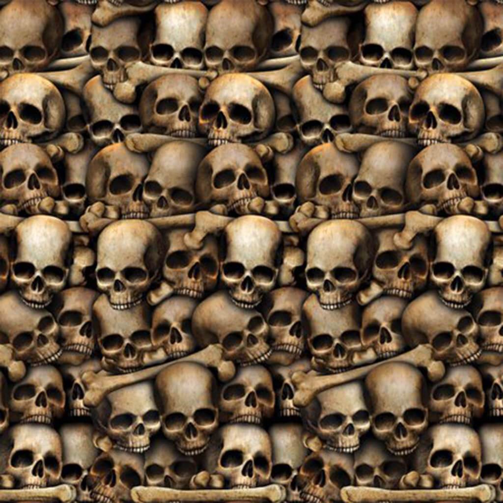 Wall of Skulls Catacombs Backdrop