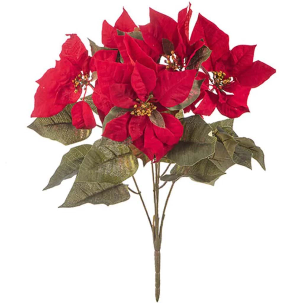 Poinsettia Bush Red Green x5 20in 