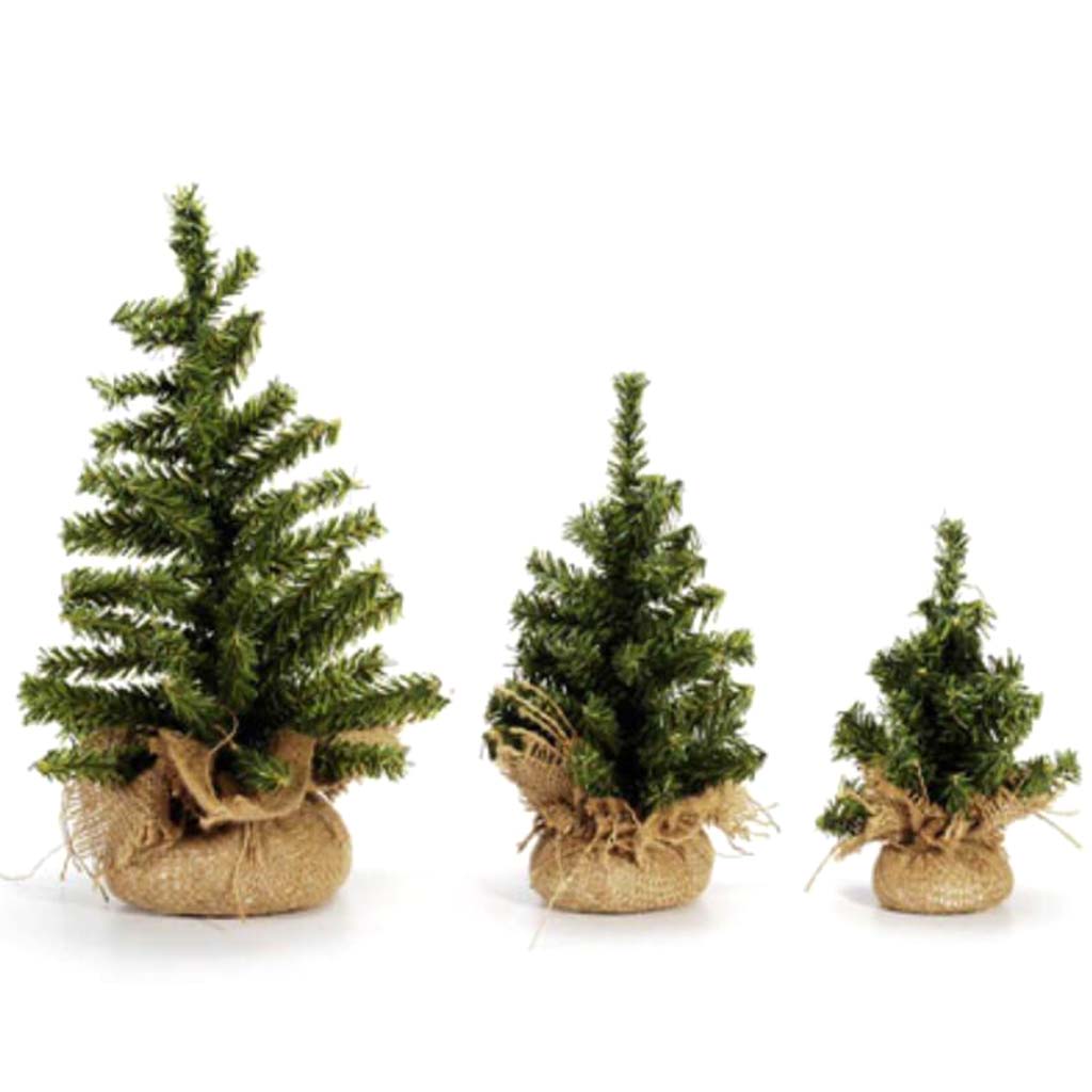 Canadian Tree with Burlap Base 50 Tips 8 Inches 