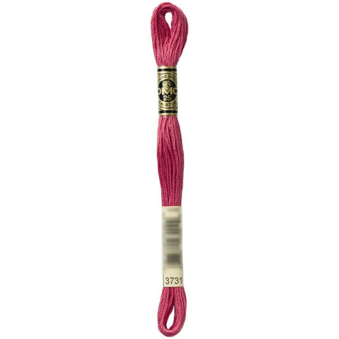Dmc Floss Black Brown Brown 