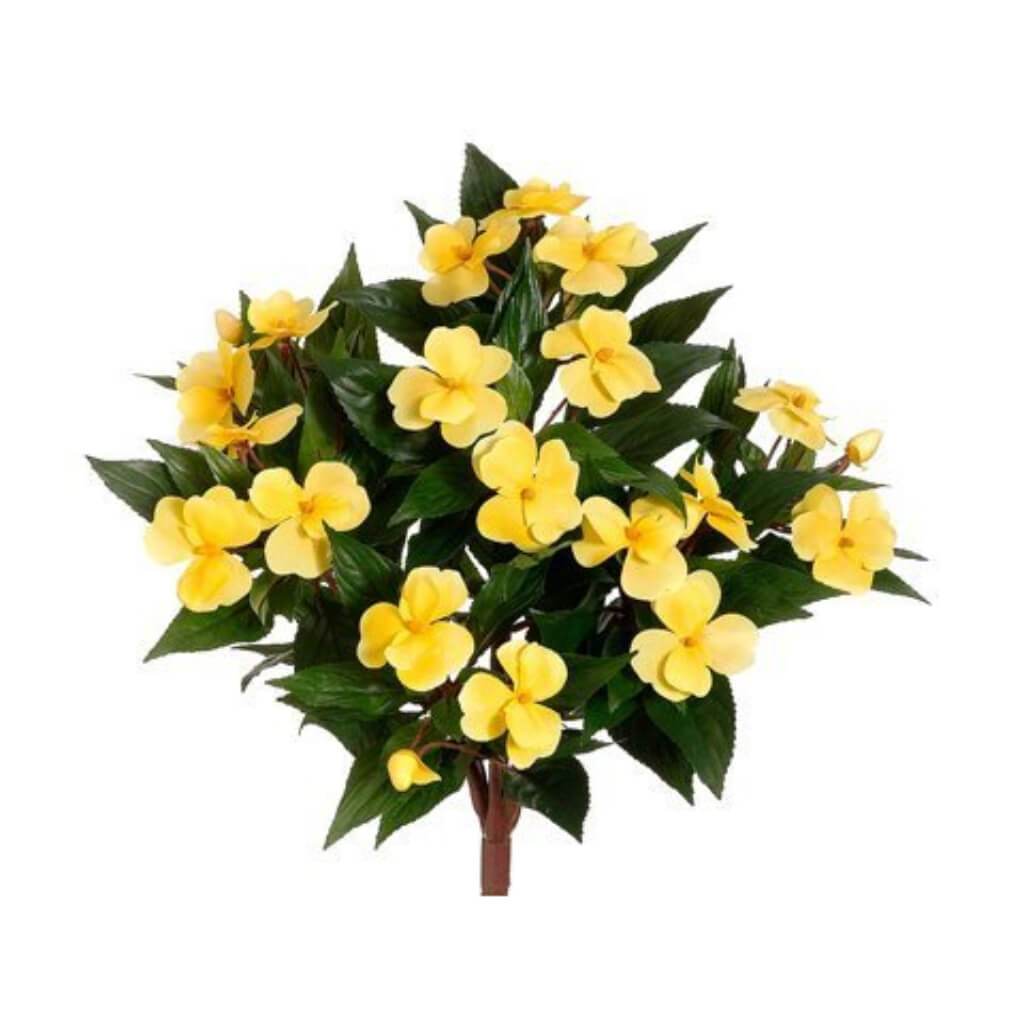 New Guinea Impatiens Bush 13.7 in Yellow