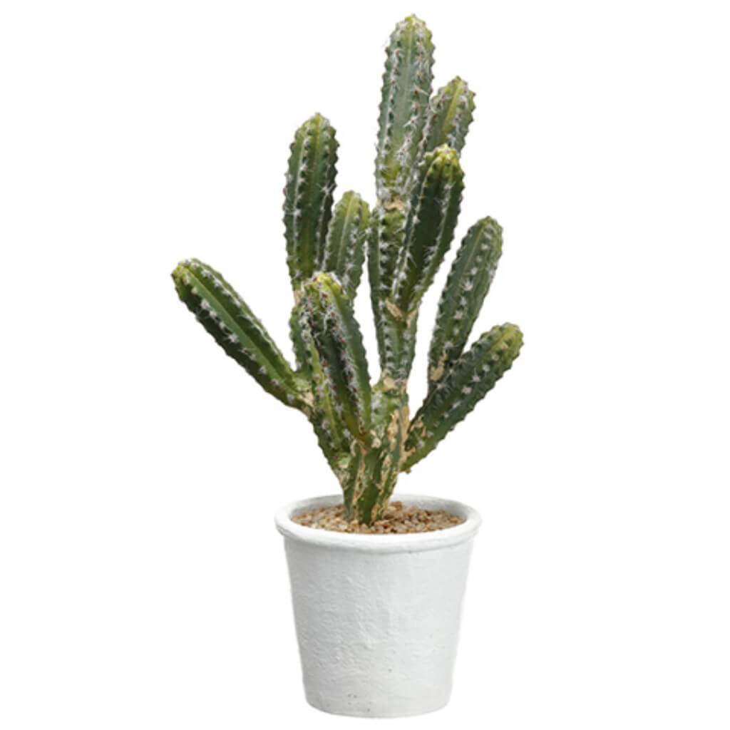 Peruvian Cactus Pot 20in in Green Paper Mache