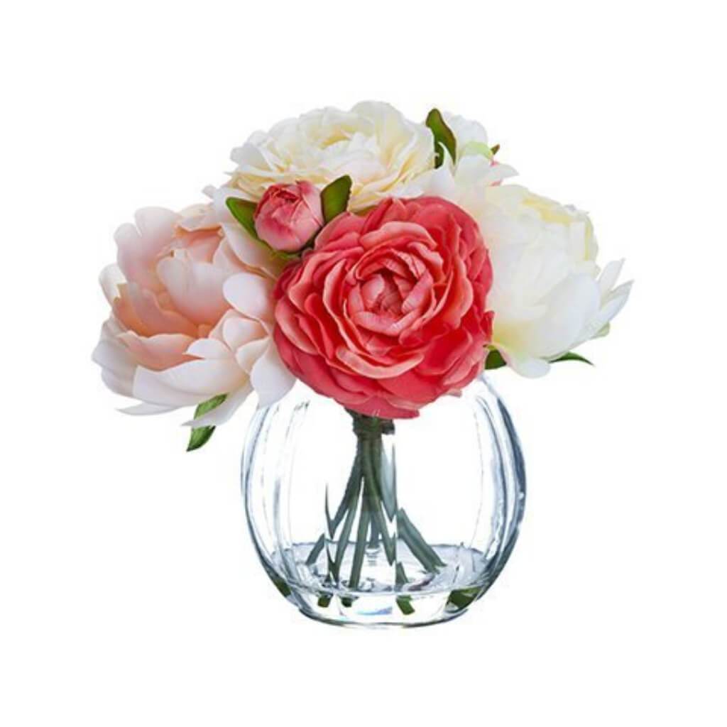 Peony Ranunculus in Vase 8in