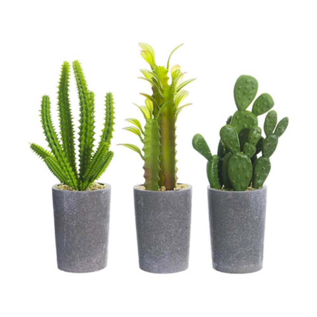 Assorted Cactus Paper Mache3 7in x 8in Pot Set