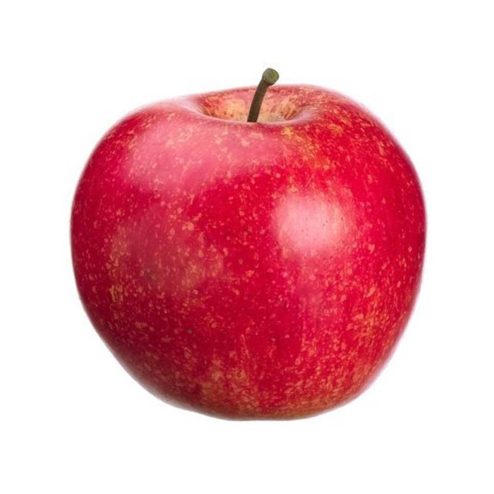 Weighted Apple Two Toned 3in Red
