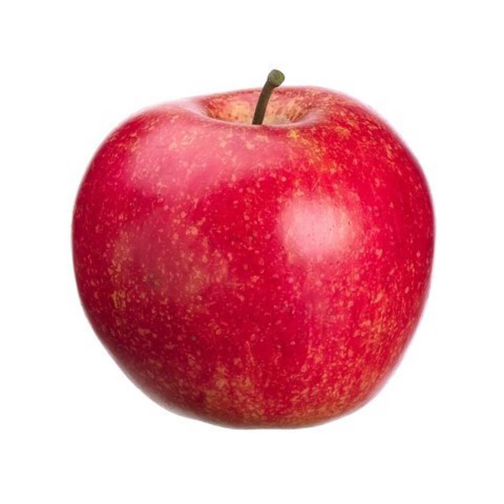 Weighted Apple Two Toned 3in Red