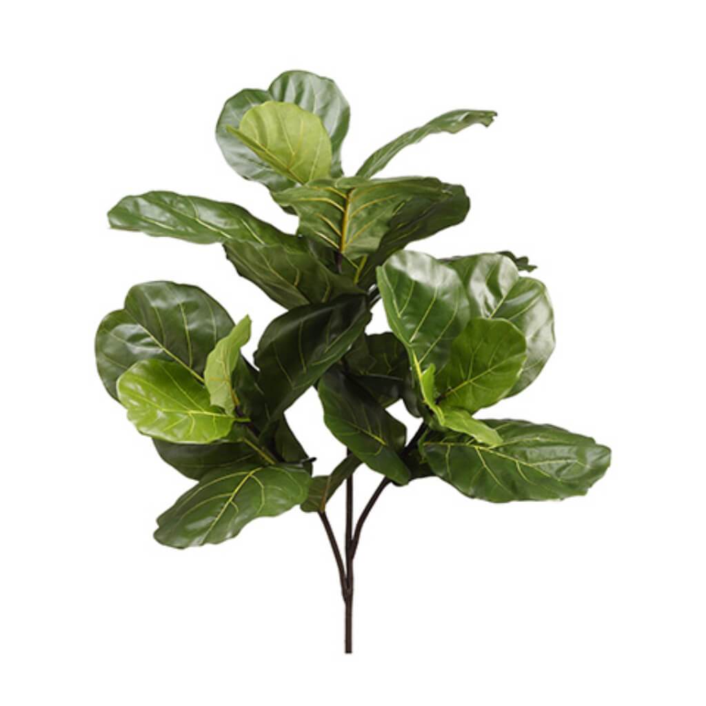 Fiddle Leaf Branch 41in