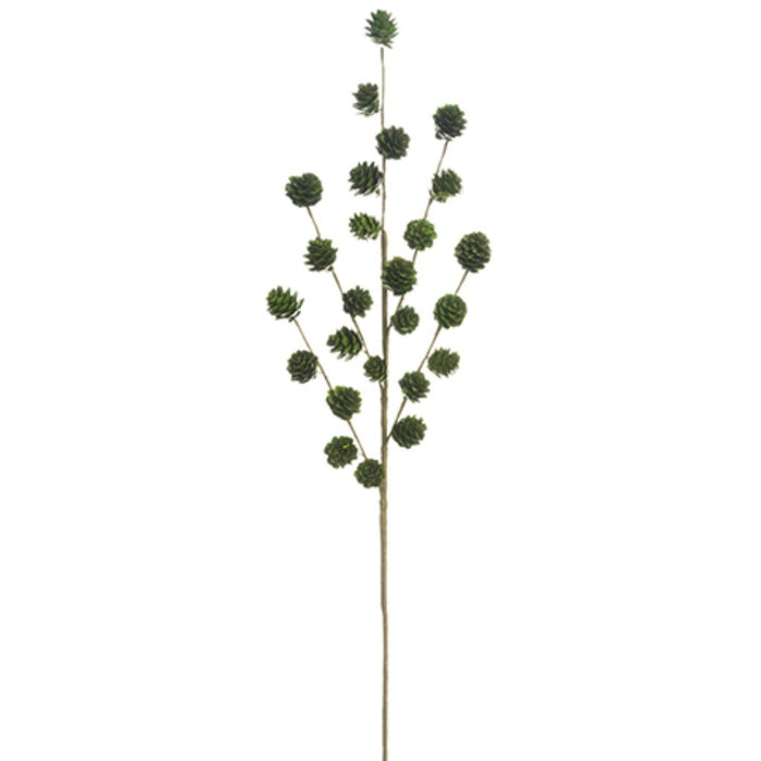 Pine Cone Spray 