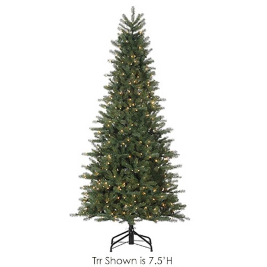 Federal Pine Tree x 645 with 200 Clear Lights on Metal Stand