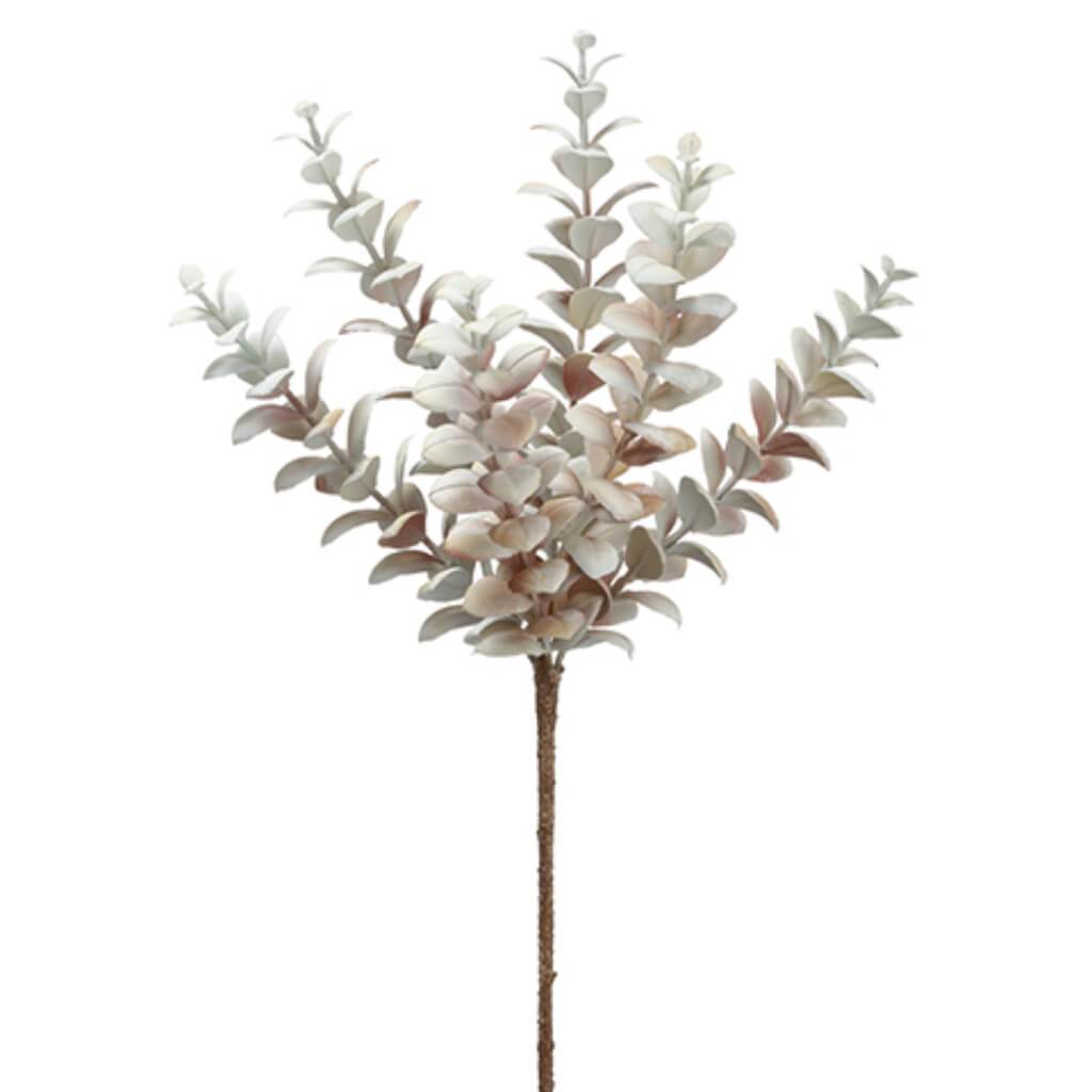 Jade Plant 17.5in Whitewashed Mauve