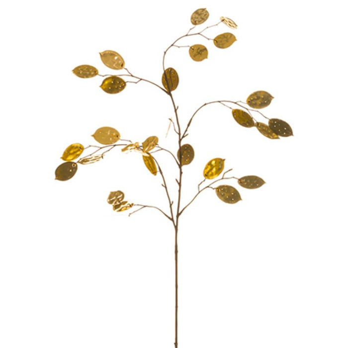 Metallic Dollar Leaf Spray