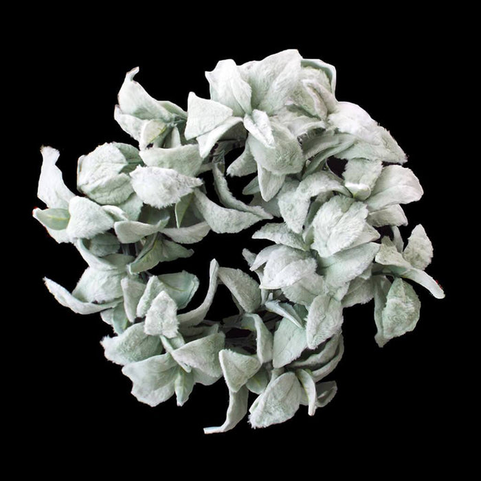 Lamb's Ear Wreath 