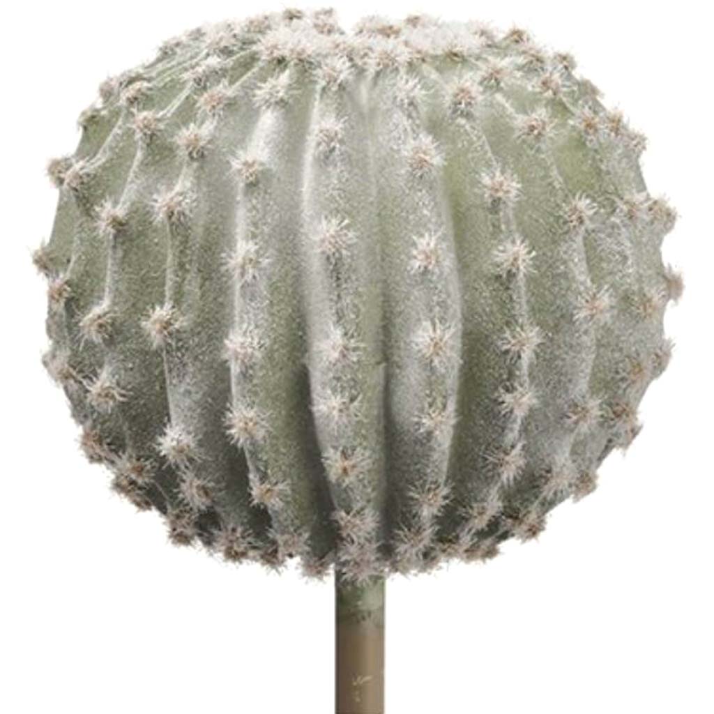 Glittered Barrel Cactus Pick