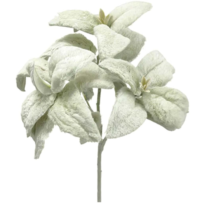 Lamb's Ear Spray x3