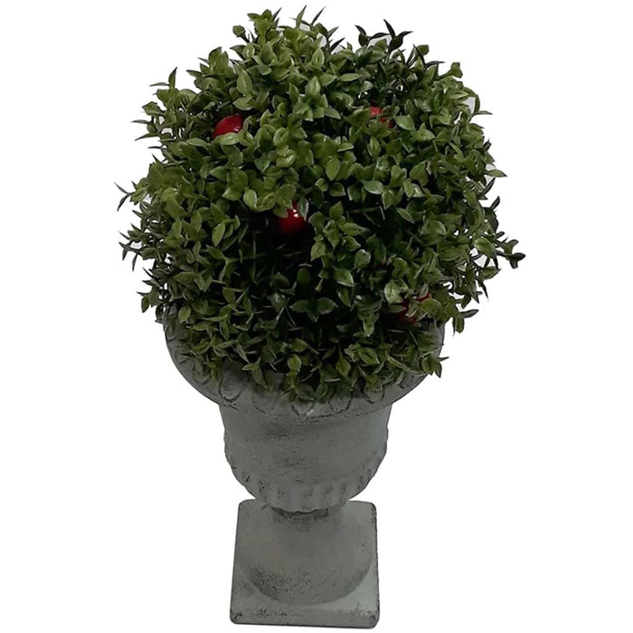 Ball Shaped Baby's Tears with Berry in Urn 