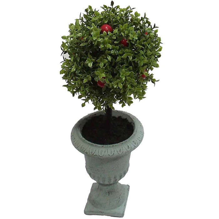 Ball Shaped Baby's Tears with Berry in Urn 