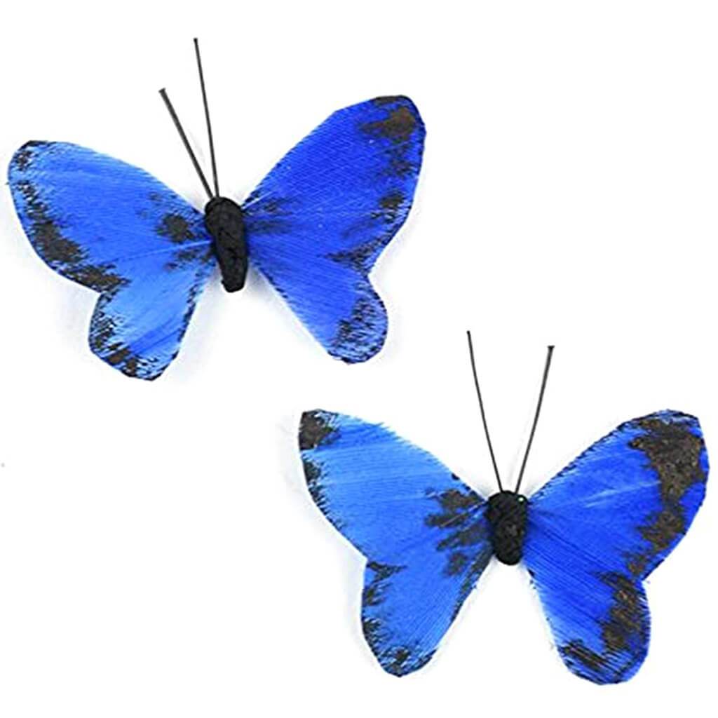 Feather Mini Butterfly 1.25" Blue 2pc